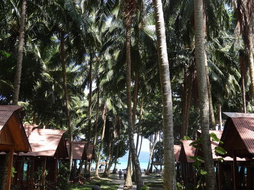 Photo of Havelock Island, South Andaman, Andaman and Nicobar Islands, India by Lets Head Out