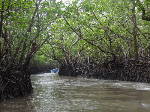 Photo of Baratang Island, North and Middle Andaman, Andaman and Nicobar Islands, India by Lets Head Out