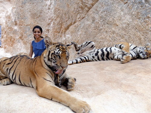 Photo of Tiger Temple Lum Sum Kanchanaburi Thailand by Lets Head Out