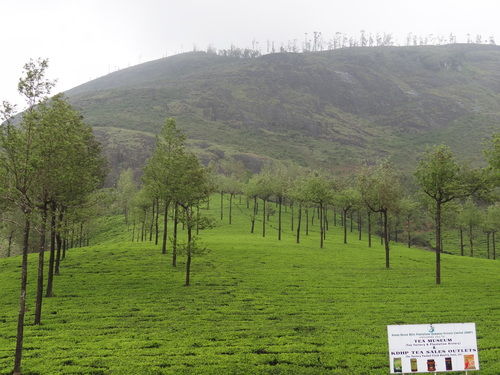 Photo of Go Green in God's own Country 9/18 by Lets Head Out
