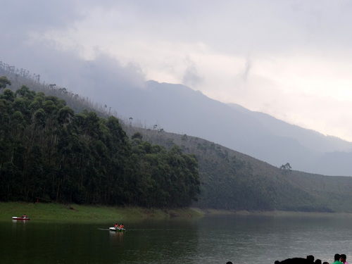 Photo of Go Green in God's own Country 11/18 by Lets Head Out