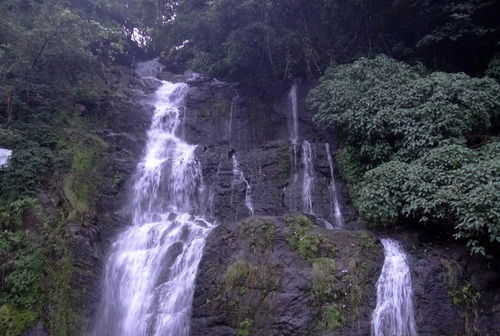 Photo of Go Green in God's own Country 2/18 by Lets Head Out