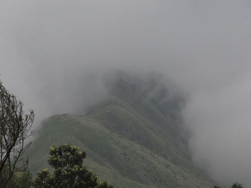 Photo of Go Green in God's own Country 17/18 by Lets Head Out