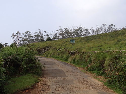 Photo of Go Green in God's own Country 13/18 by Lets Head Out