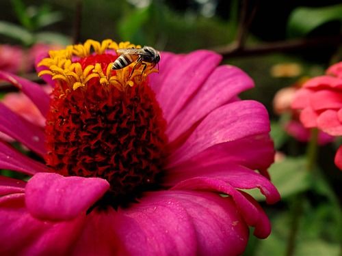 Photo of Floral fervor! 9/15 by Lets Head Out