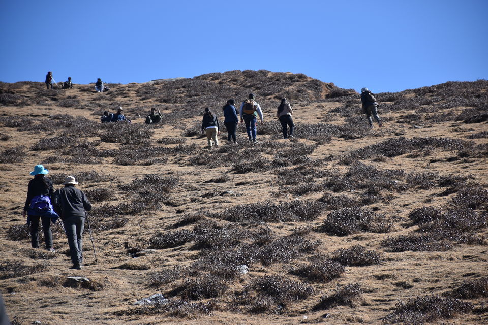 Photo of Tungnath - A date with Mahadev!!! 7/10 by Awdhesh Singh