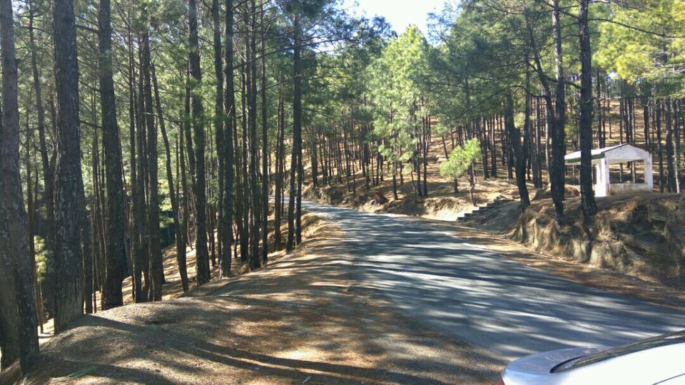 Photo of Kausani - A cozy abode in the lap of Himalayas. 16/17 by Awdhesh Singh