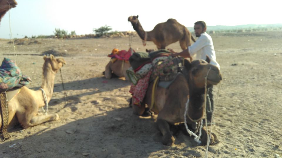 Photo of Jaisalmer - The Far West 27/39 by Awdhesh Singh