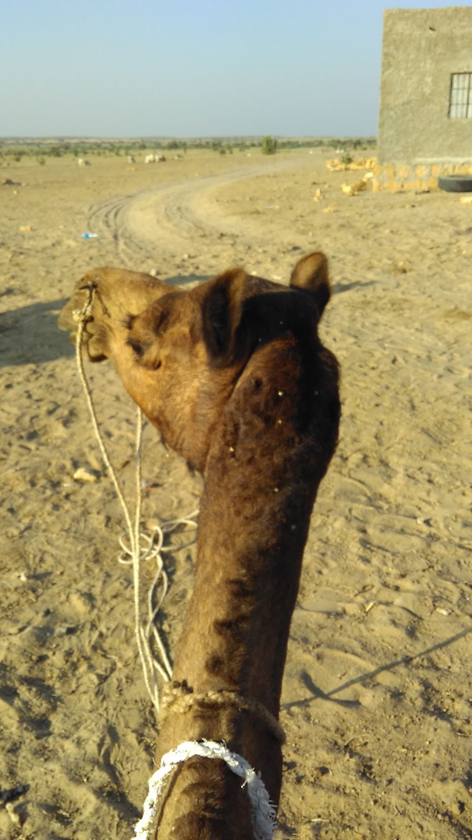 Photo of Jaisalmer - The Far West 29/39 by Awdhesh Singh
