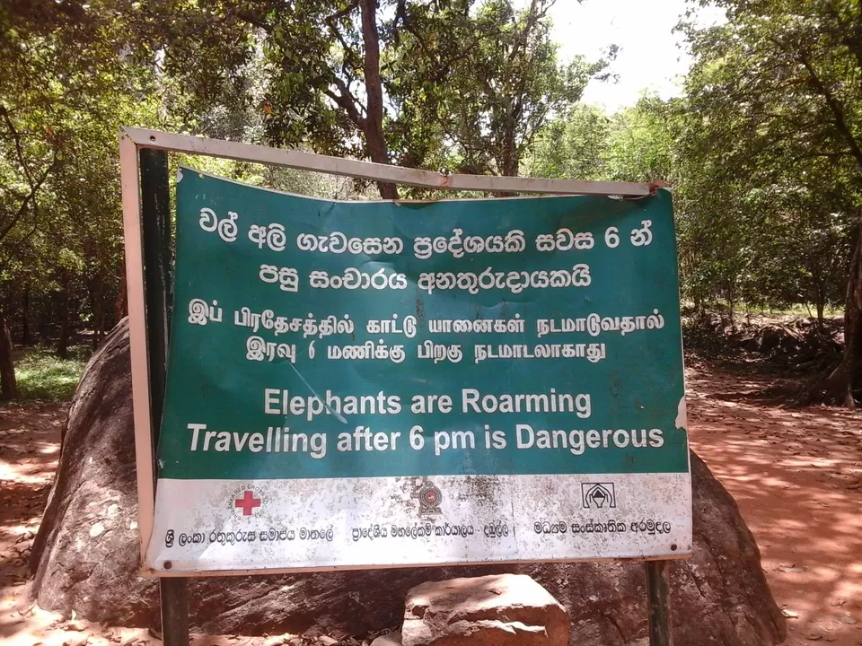 Photo of Dambulla, Sri Lanka by Joy Bose