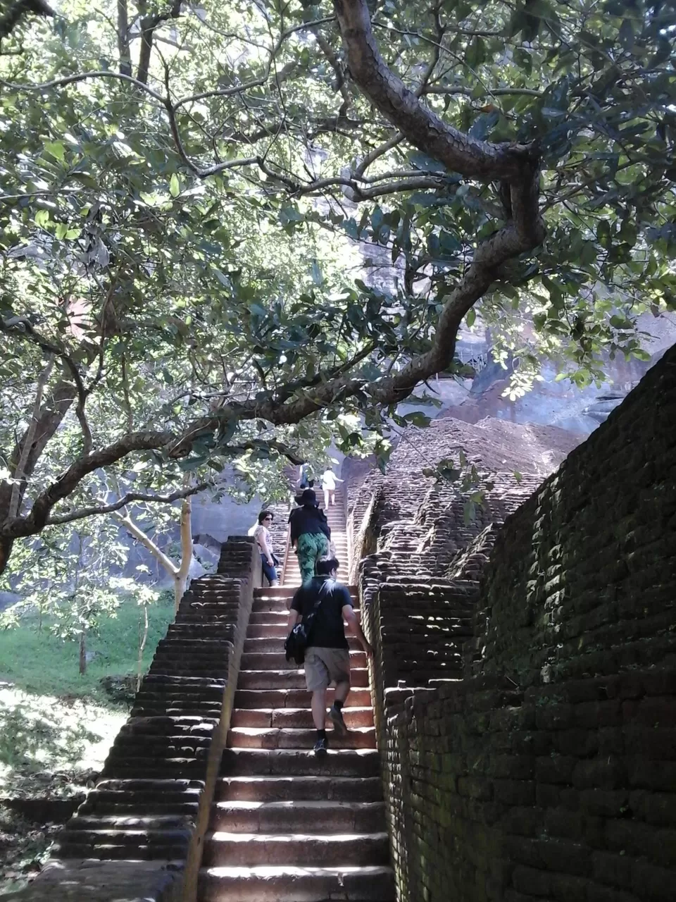 Photo of Dambulla, Sri Lanka by Joy Bose