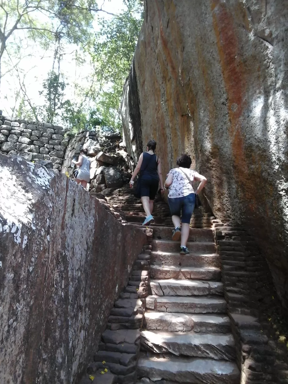 Photo of Dambulla, Sri Lanka by Joy Bose