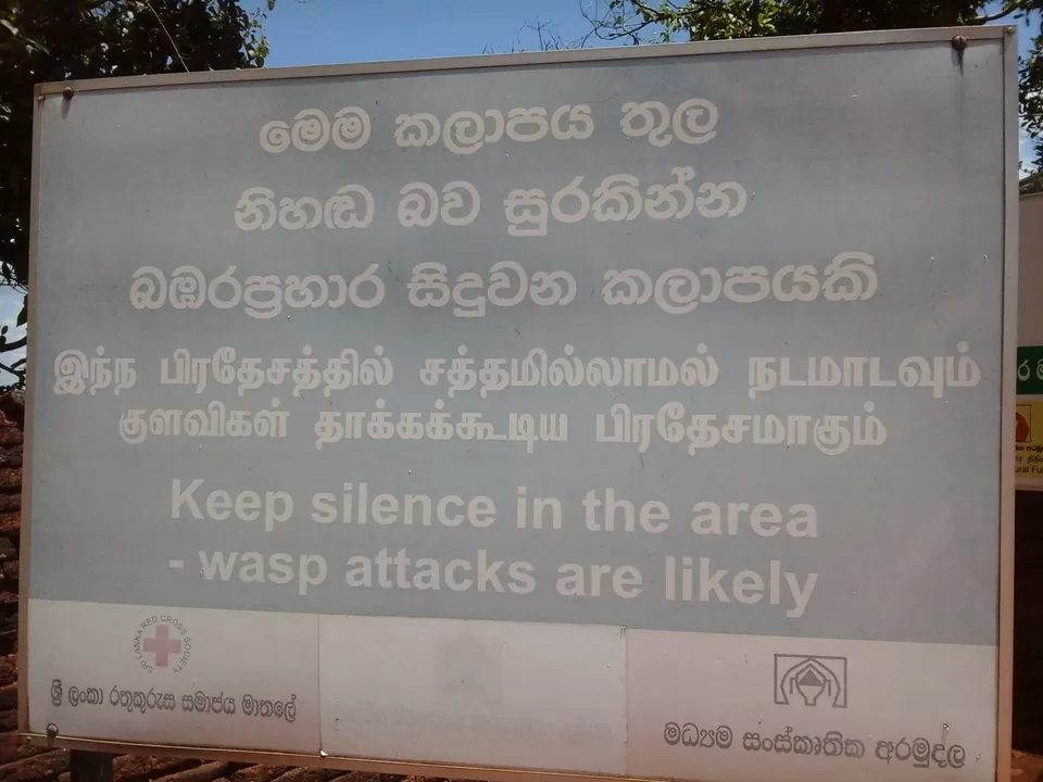 Photo of Dambulla, Sri Lanka by Joy Bose