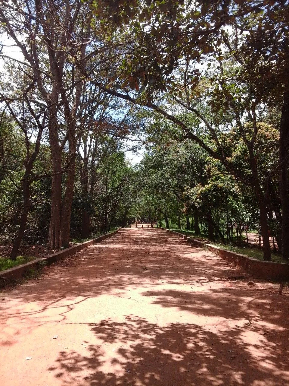 Photo of Dambulla, Sri Lanka by Joy Bose