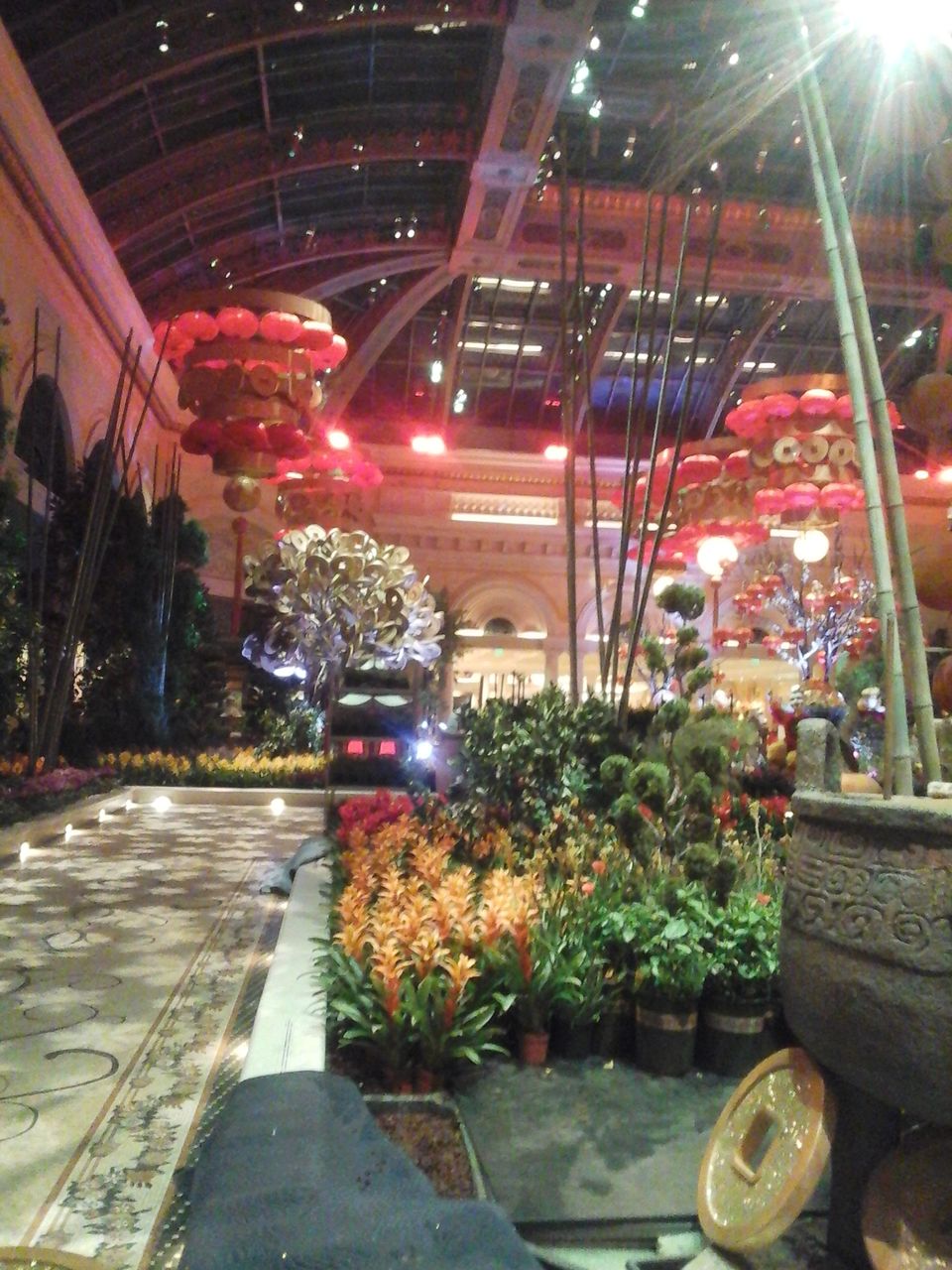 Photo of 3 days in Las Vegas 17/147 by Joy Bose