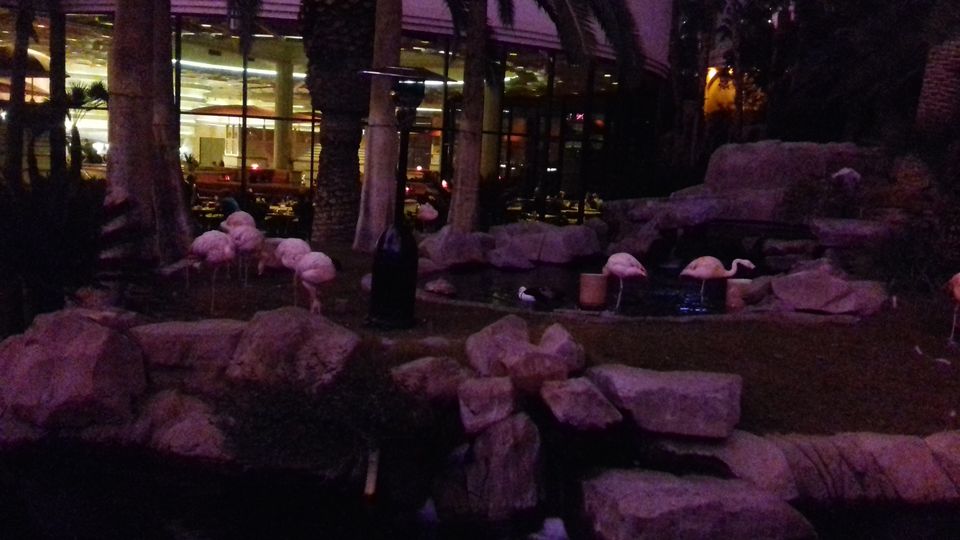 Photo of 3 days in Las Vegas 37/147 by Joy Bose