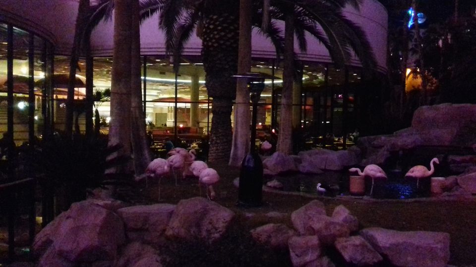 Photo of 3 days in Las Vegas 38/147 by Joy Bose