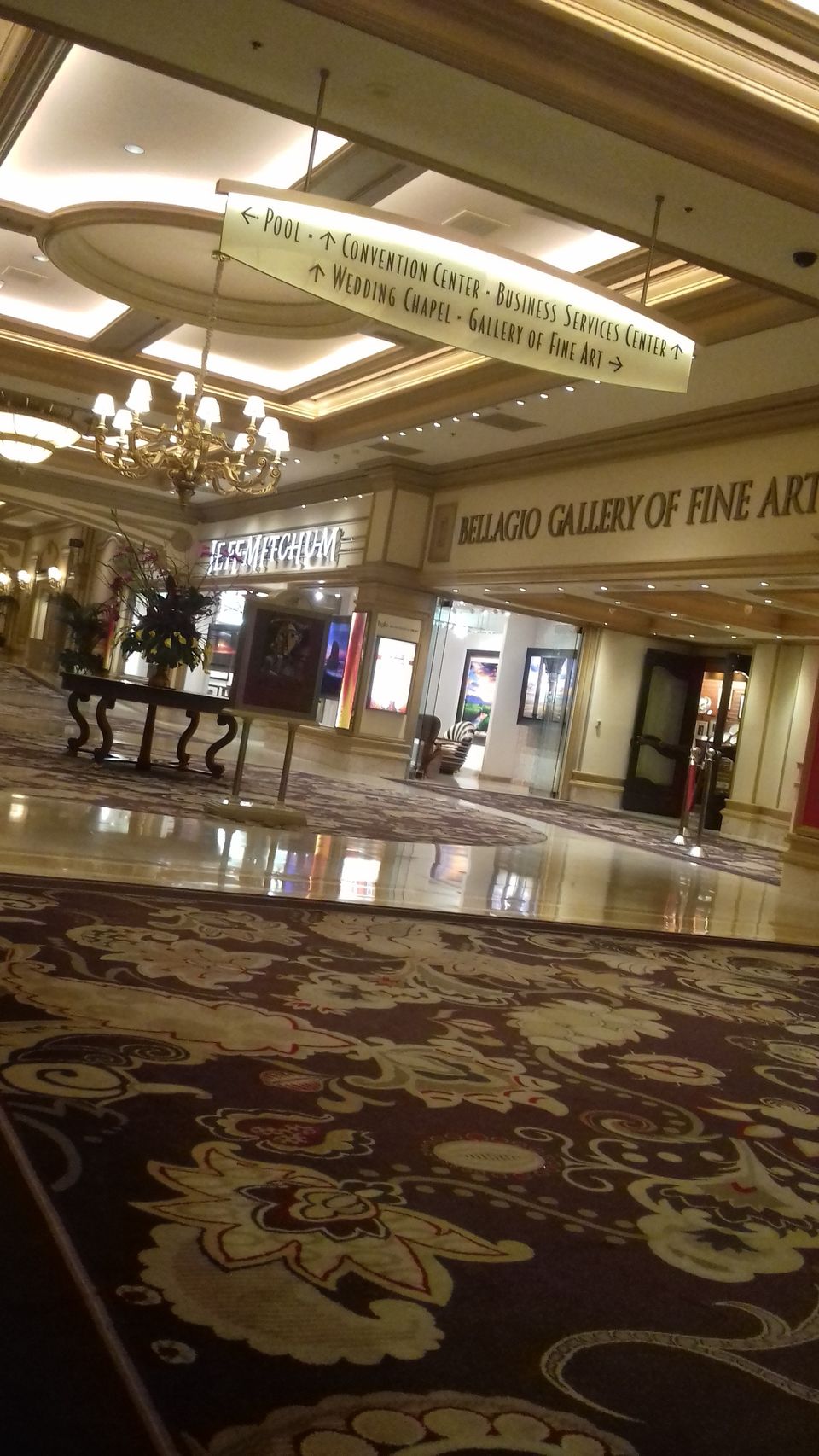 Photo of 3 days in Las Vegas 40/147 by Joy Bose