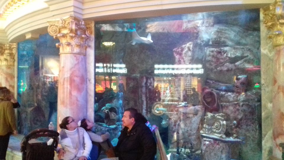 Photo of 3 days in Las Vegas 54/147 by Joy Bose