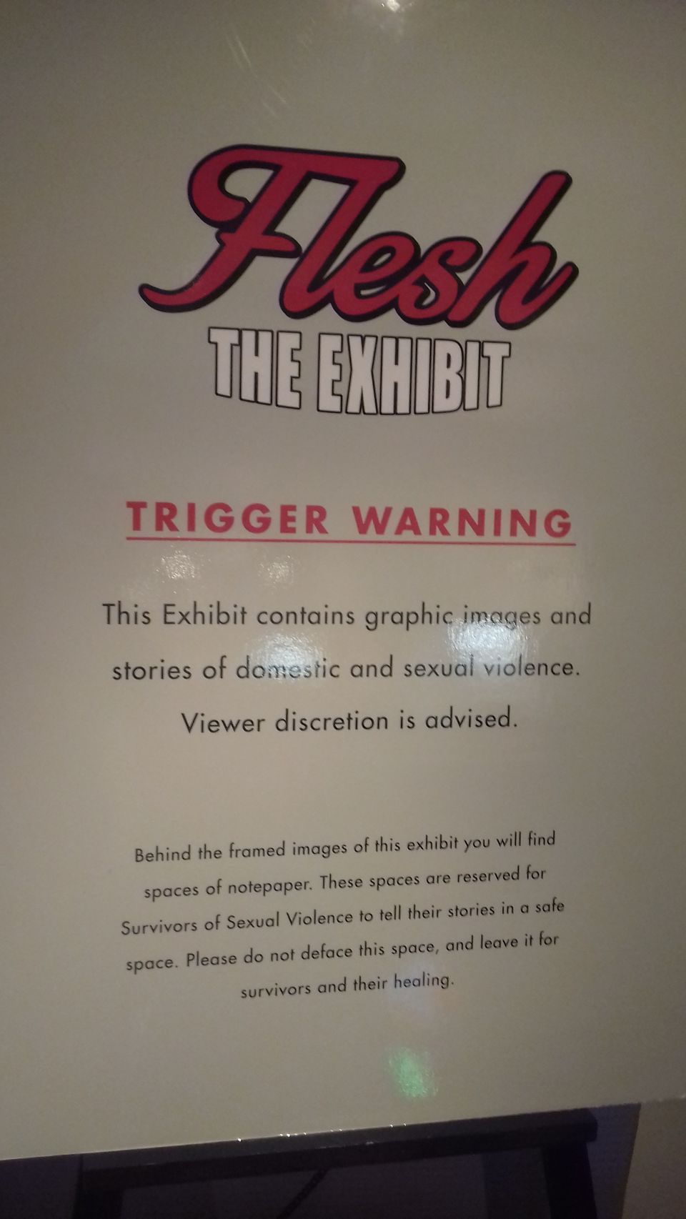 Photo of 3 days in Las Vegas 128/147 by Joy Bose