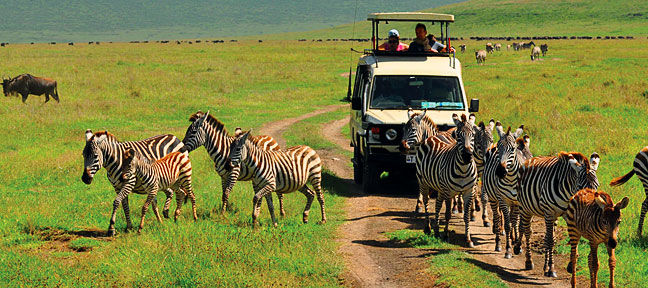 Photo of The Most Important 5 Things to Know Before Booking a Safari by Jhil01