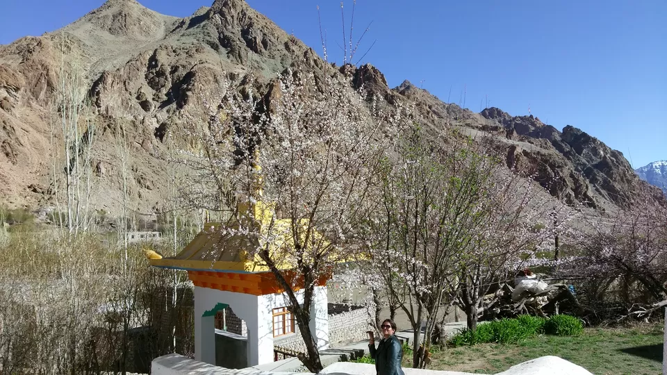Photo of Gonpa Soma, Leh, Jammu and Kashmir 194101 by Lakshmi Shuklla