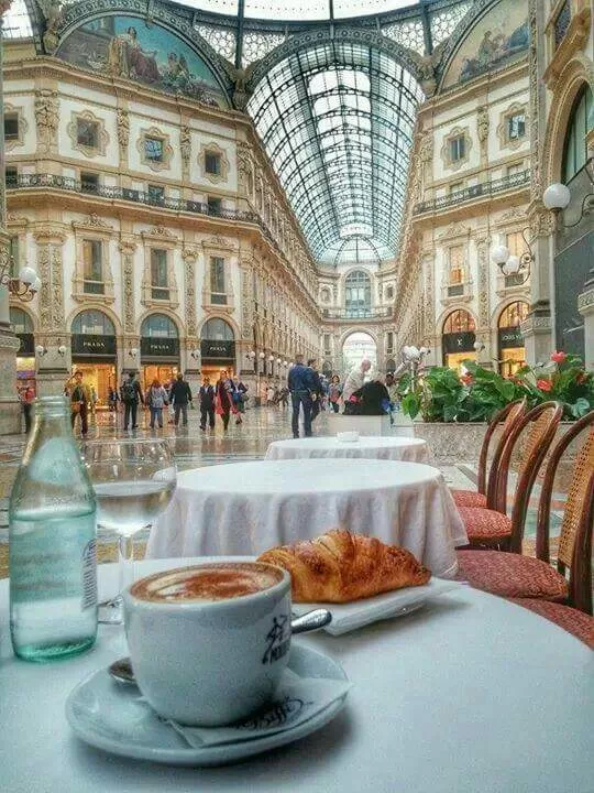 Photo of Galleria Vittorio Emanuele II, Piazza del Duomo, Milan, Metropolitan City of Milan, Italy by Lakshmi Shuklla