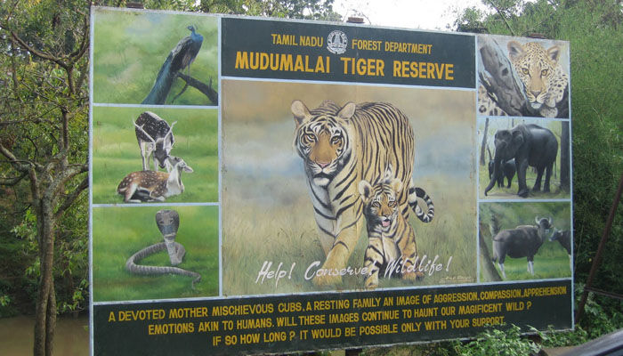 Photo of Double treasures of Southern India..... wildlife paradise!!! by Lakshmi Shuklla