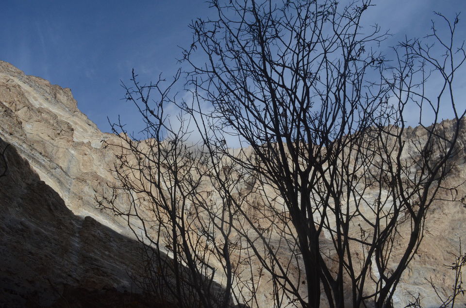 Photo of Chadar trek...Reliving the moments 67/93 by Anurag Sharma