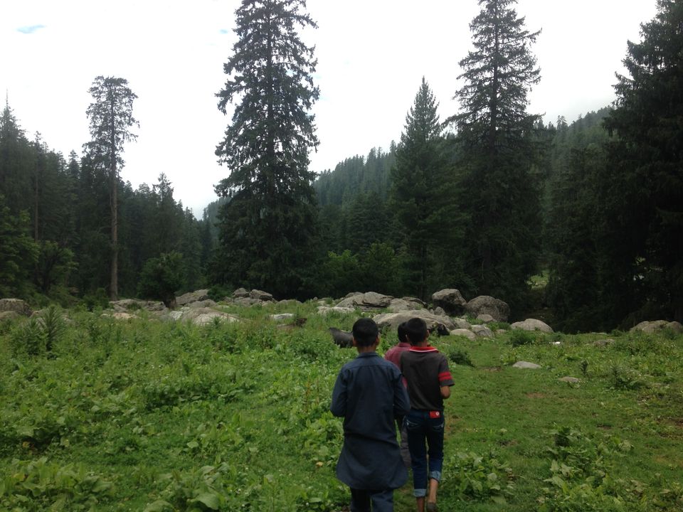 Photo of Kutla, Himachal Pradesh, India by Anurag Sharma