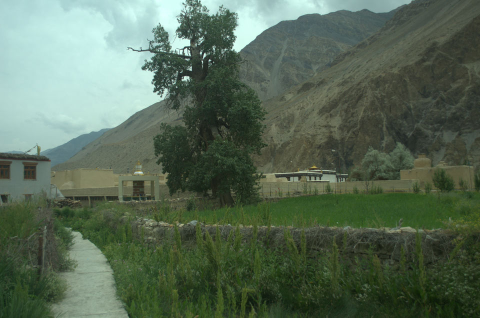Photo of Solo Backpacking to Spiti & Parvati valley.. by Anurag Sharma