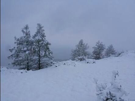 Photo of Chakrata, Uttarakhand, India by Deepanshi