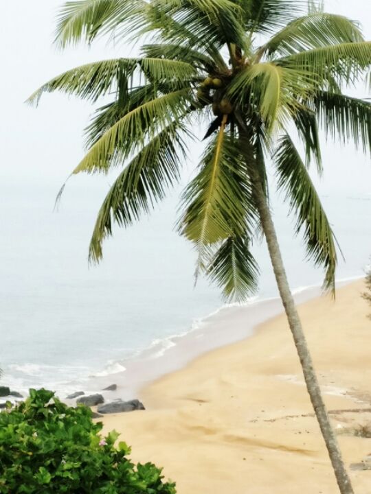 Photo of Bekal, Kerala, India by Pallavi Varun