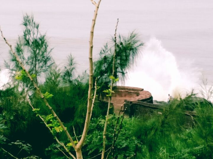 Photo of Bekal, Kerala, India by Pallavi Varun