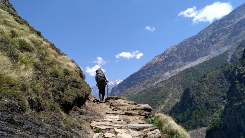 Photo of Milam Glacier Trek: A solo walk to the upper Himalayas in Johar valley. by Broken.brain