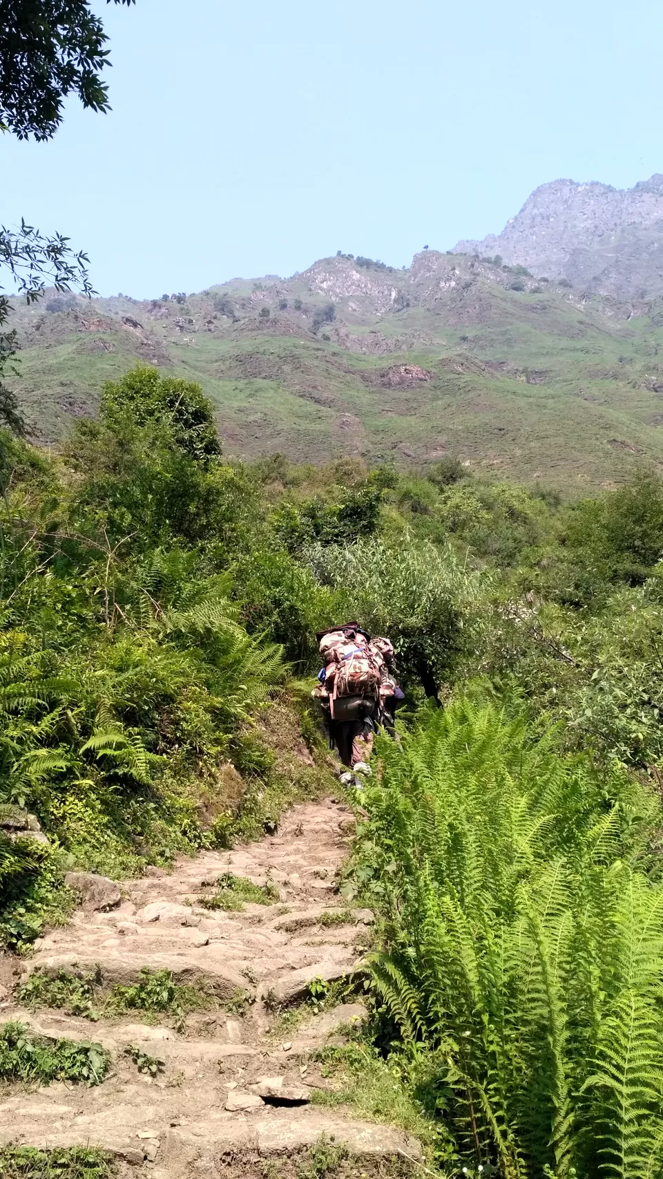 Photo of Milam Glacier Trek: A solo walk to the upper Himalayas in Johar valley. by Broken.brain