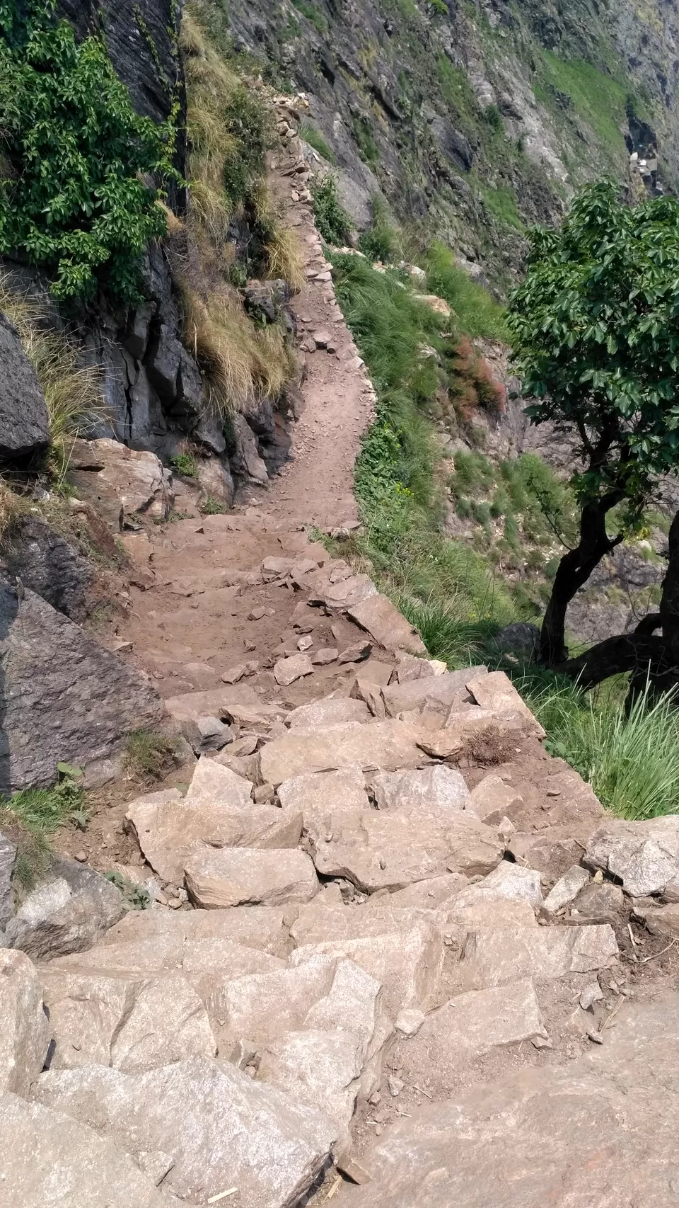 Photo of Milam Glacier Trek: A solo walk to the upper Himalayas in Johar valley. by Broken.brain