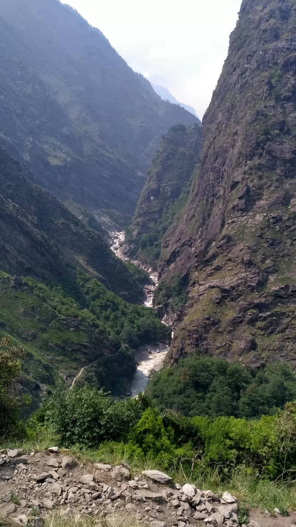 Photo of Milam Glacier Trek: A solo walk to the upper Himalayas in Johar valley. by Broken.brain