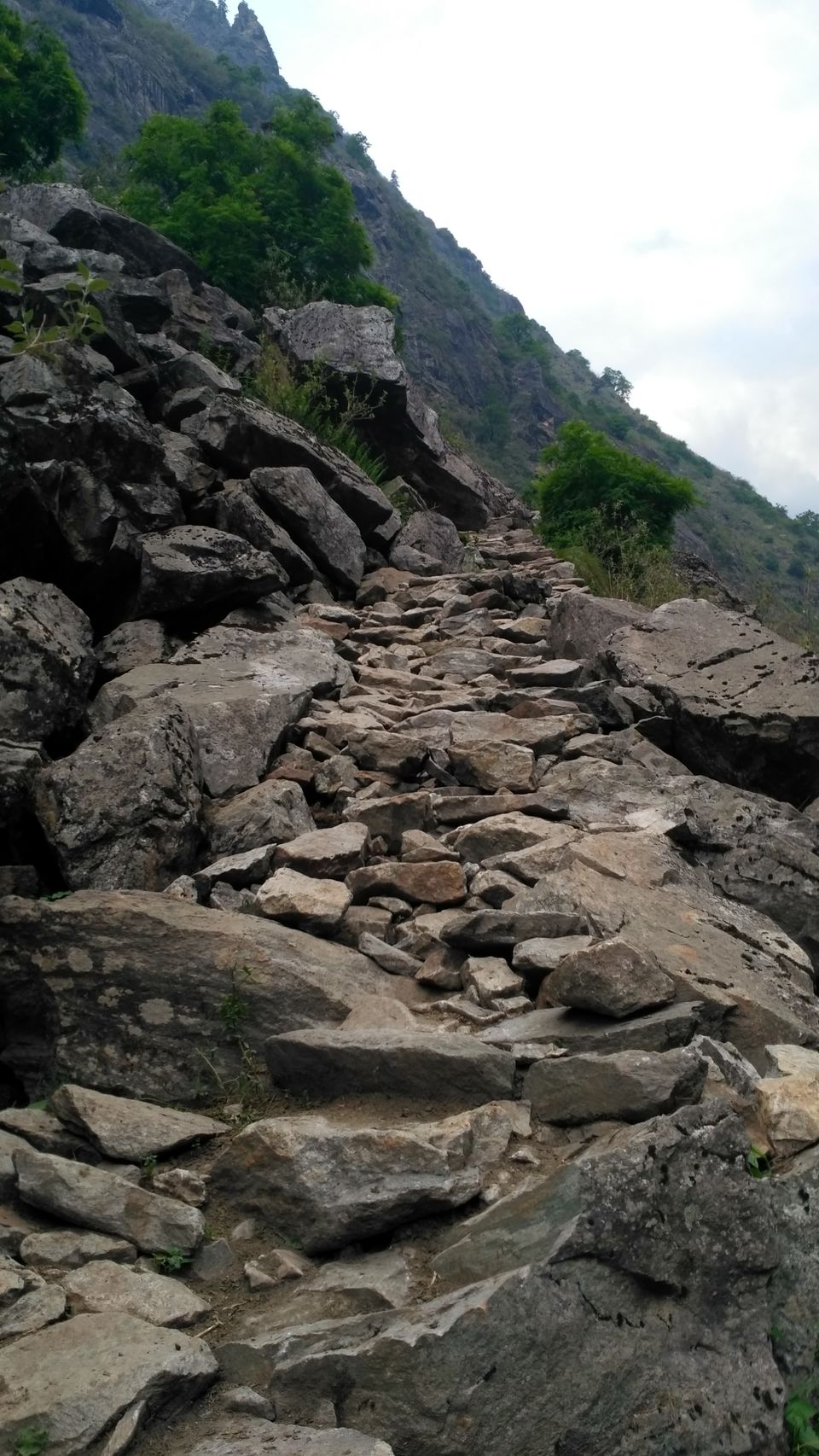 Photo of Milam Glacier Trek: A solo walk to the upper Himalayas in Johar valley. by Broken.brain