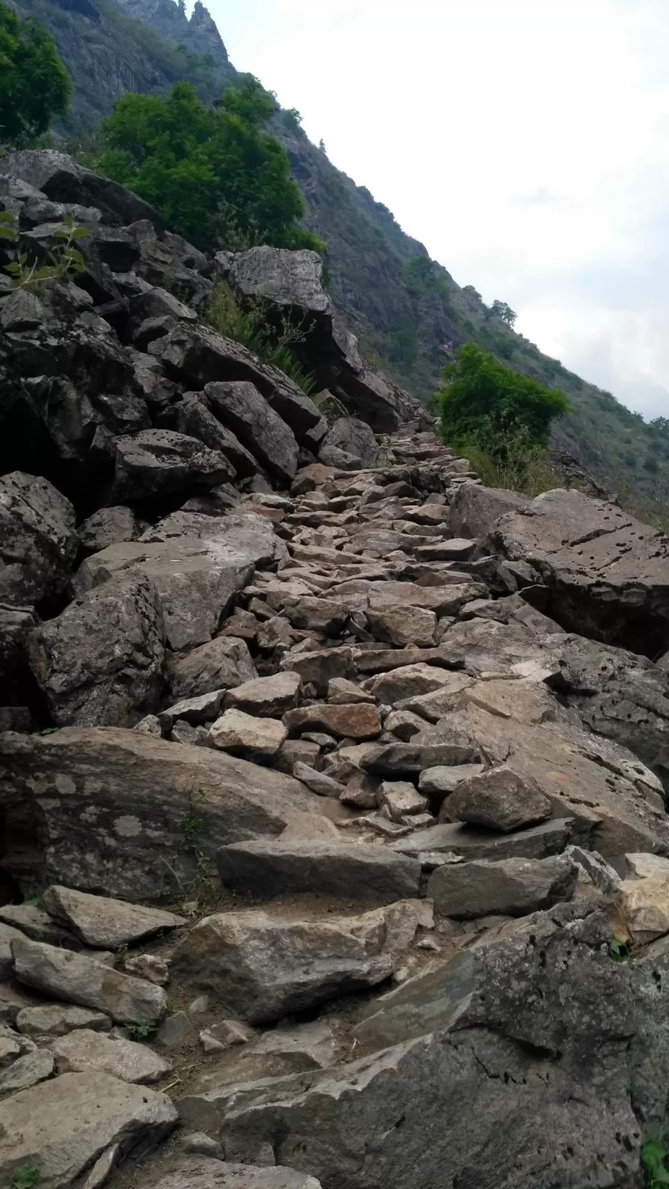 Photo of Milam Glacier Trek: A solo walk to the upper Himalayas in Johar valley. by Broken.brain