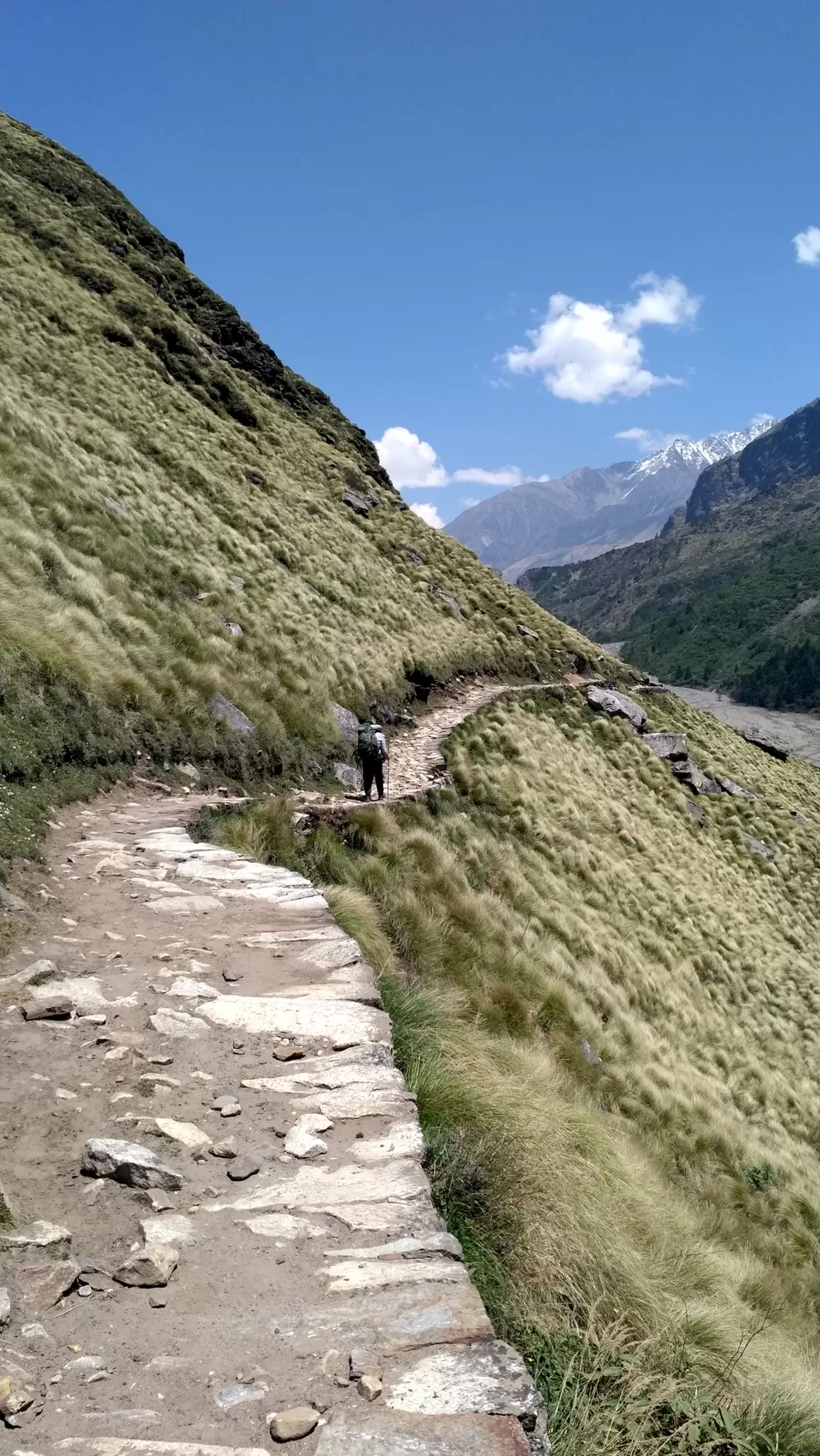 Photo of Milam Glacier Trek: A solo walk to the upper Himalayas in Johar valley. by Broken.brain