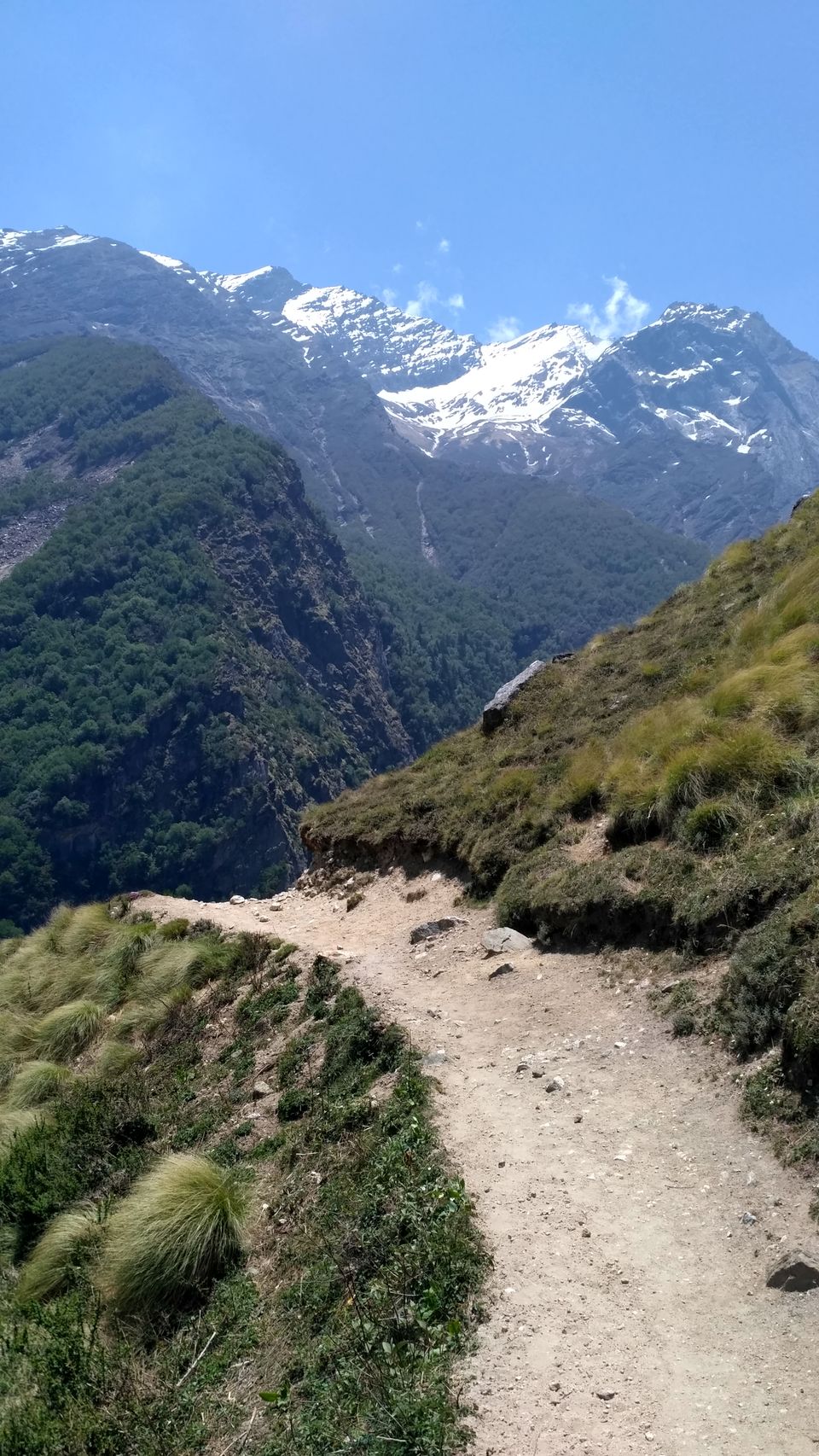 Photo of Milam Glacier Trek: A solo walk to the upper Himalayas in Johar valley. by Broken.brain
