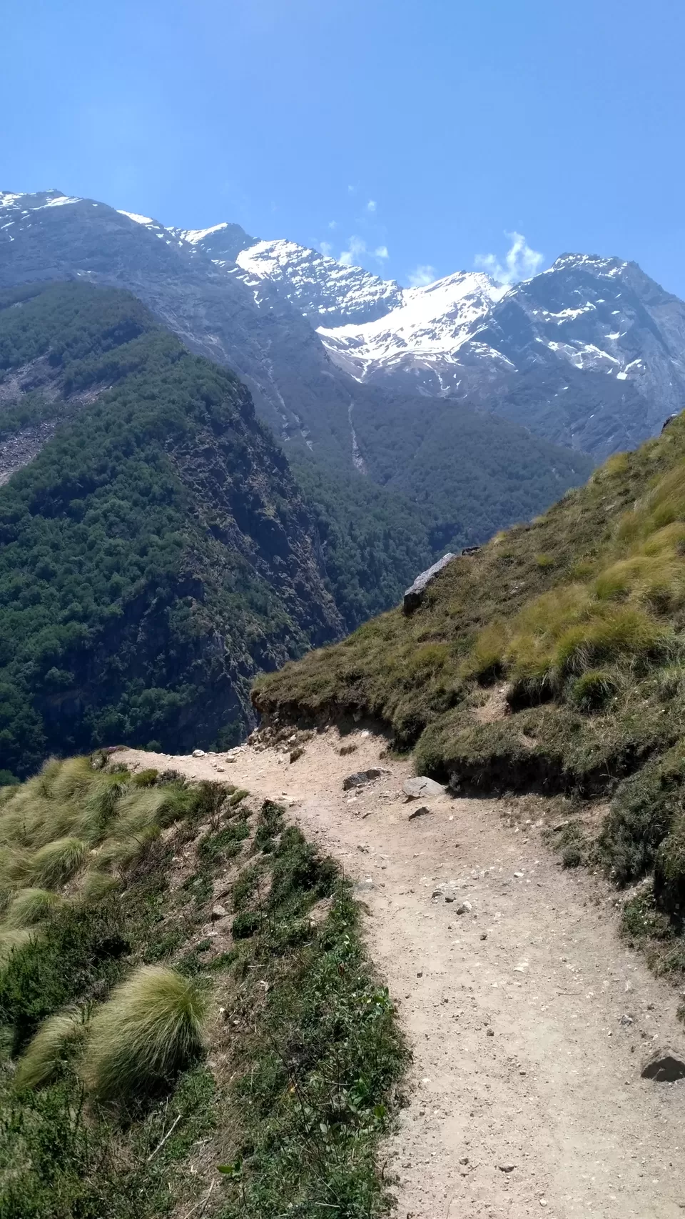 Photo of Milam Glacier Trek: A solo walk to the upper Himalayas in Johar valley. by Broken.brain