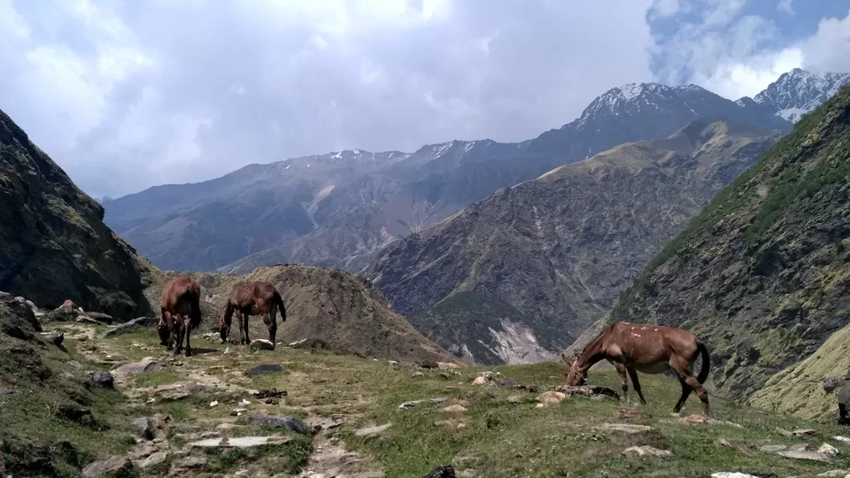 Photo of Milam Glacier Trek: A solo walk to the upper Himalayas in Johar valley. by Broken.brain