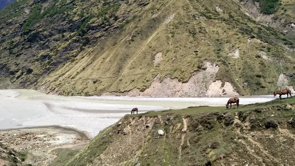 Photo of Milam Glacier Trek: A solo walk to the upper Himalayas in Johar valley. by Broken.brain
