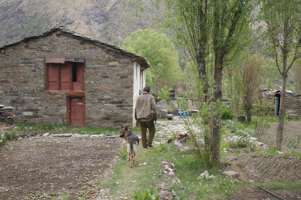 Photo of Milam Glacier Trek: A solo walk to the upper Himalayas in Johar valley. by Broken.brain