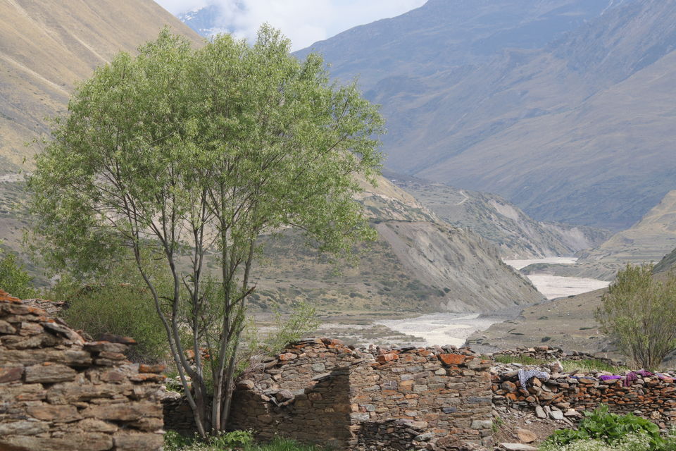 Photo of Milam Glacier Trek: A solo walk to the upper Himalayas in Johar valley. by Broken.brain