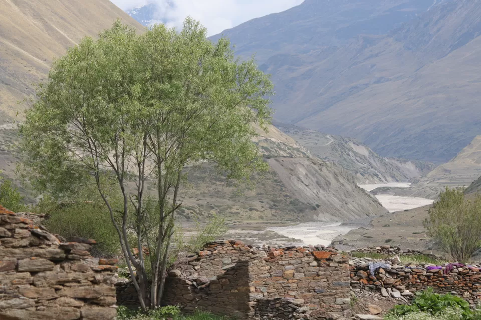 Photo of Milam Glacier Trek: A solo walk to the upper Himalayas in Johar valley. by Broken.brain