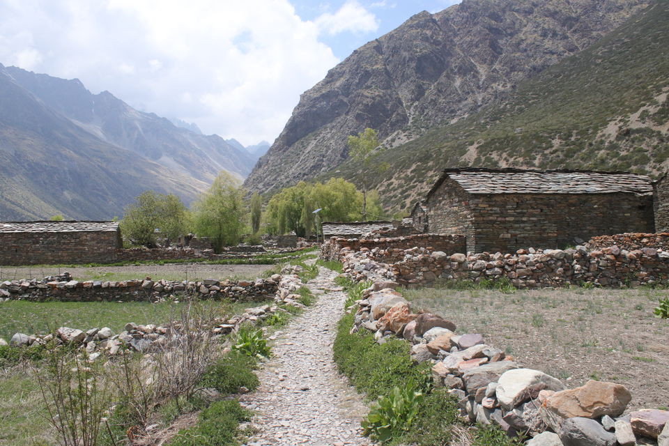 Photo of Milam Glacier Trek: A solo walk to the upper Himalayas in Johar valley. by Broken.brain