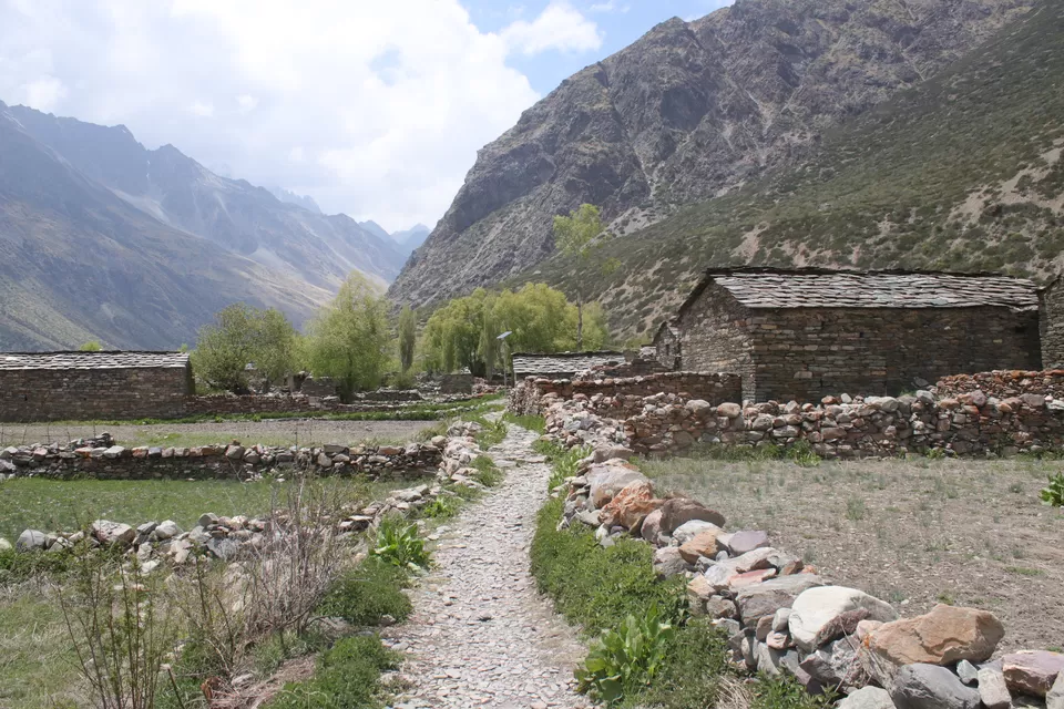 Photo of Milam Glacier Trek: A solo walk to the upper Himalayas in Johar valley. by Broken.brain